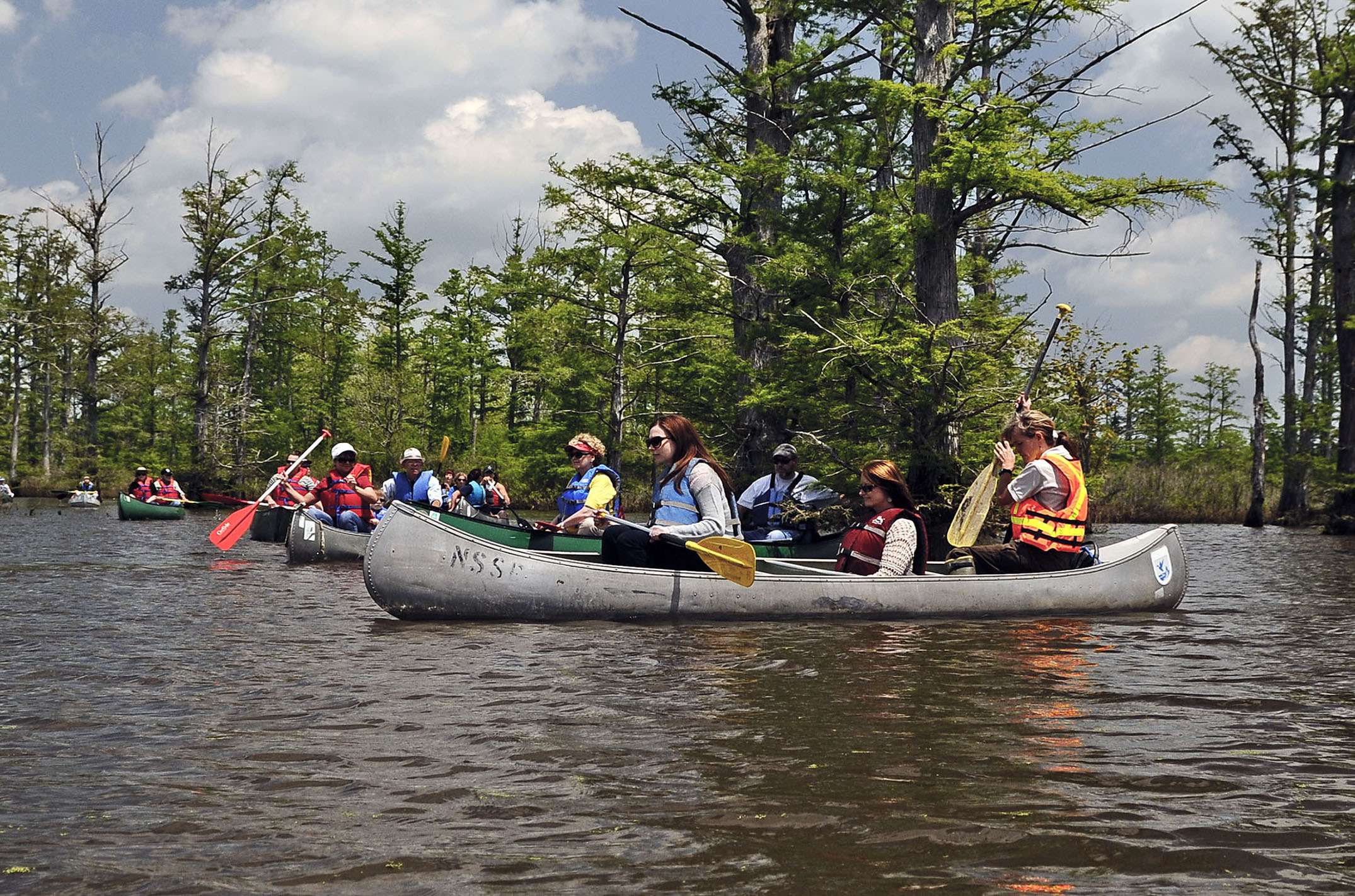 Cache River State Natural Area | Enjoy Illinois | Enjoy Illinois