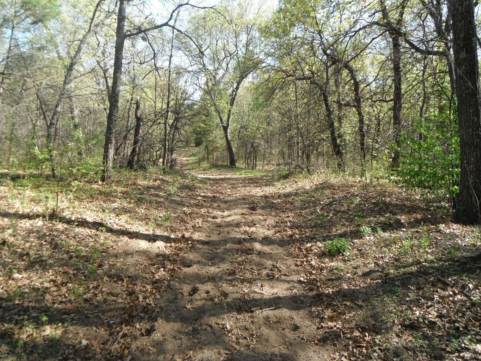 Sand Ridge State Forest | Enjoy Illinois | Enjoy Illinois