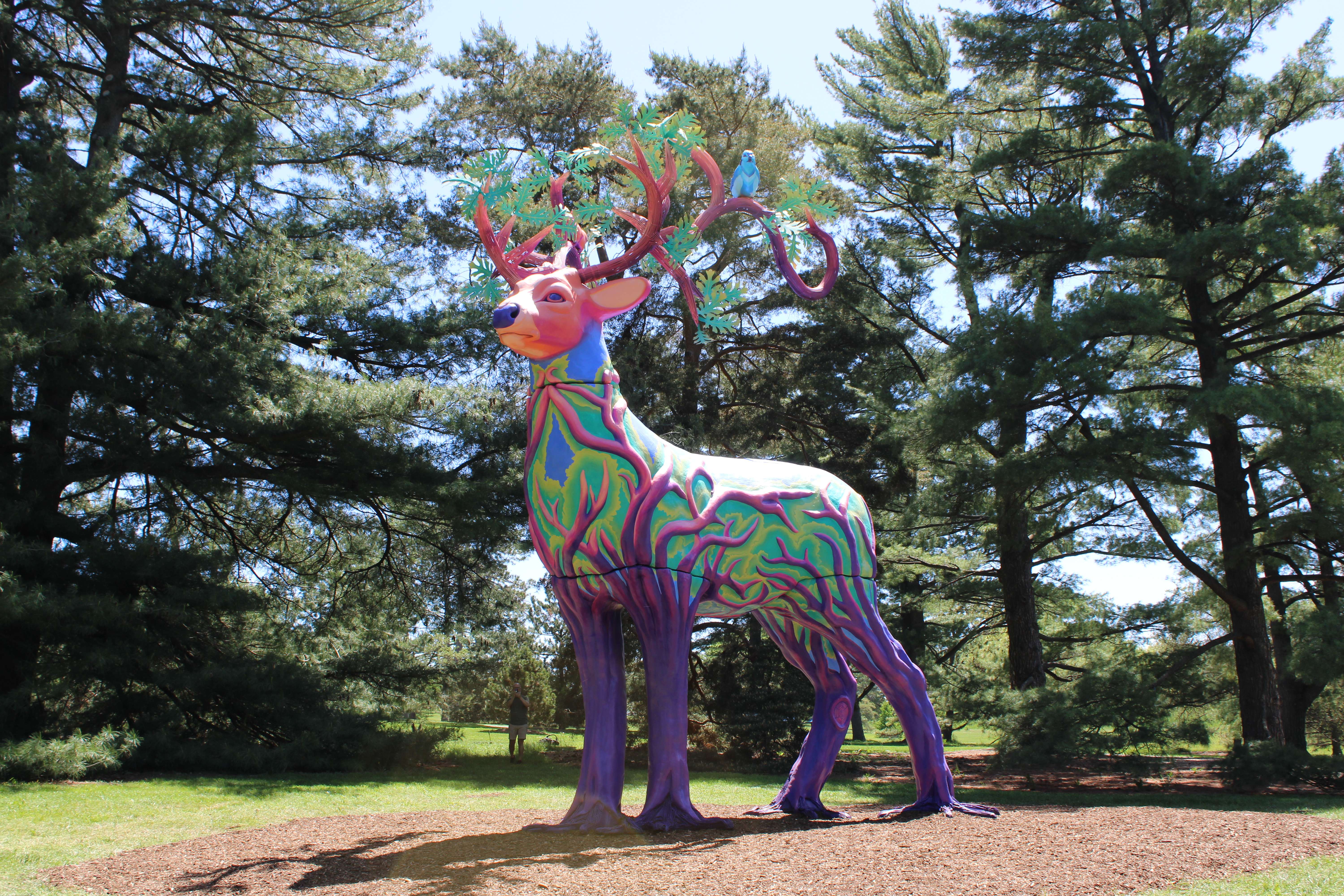 The Morton Arboretum presents 