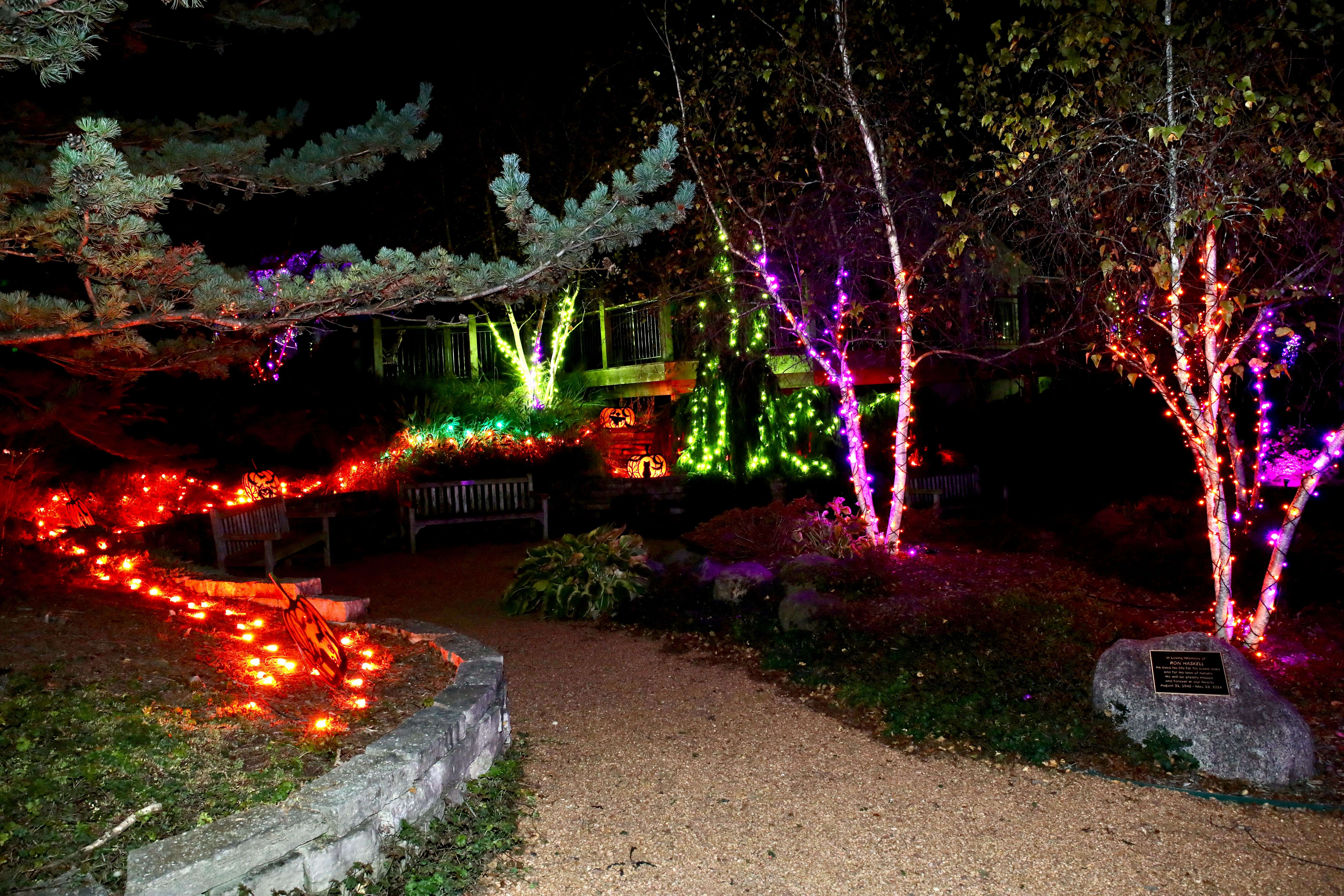 Eerie Autumn Lights | Enjoy Illinois, image size:6720x4480