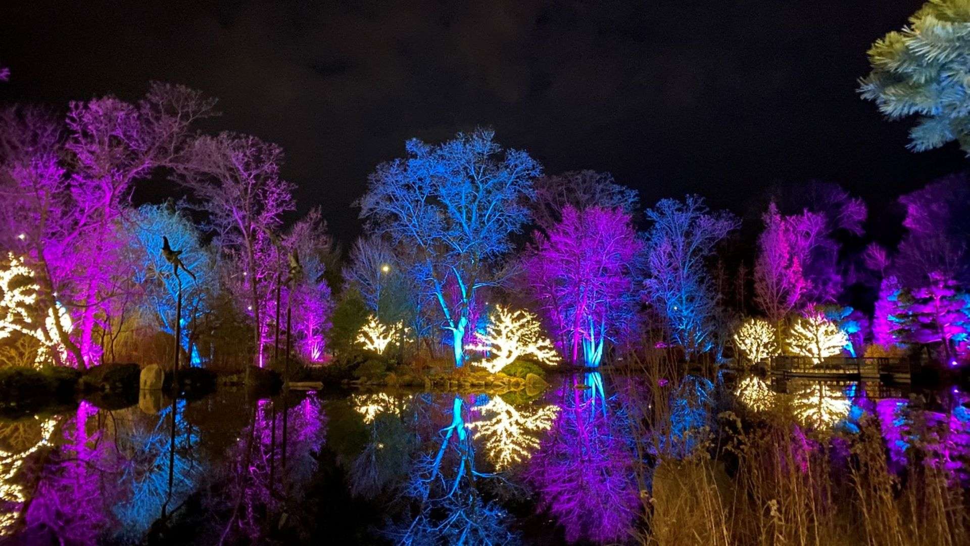 Illuminated: A Lighted Garden Experience | Enjoy Illinois