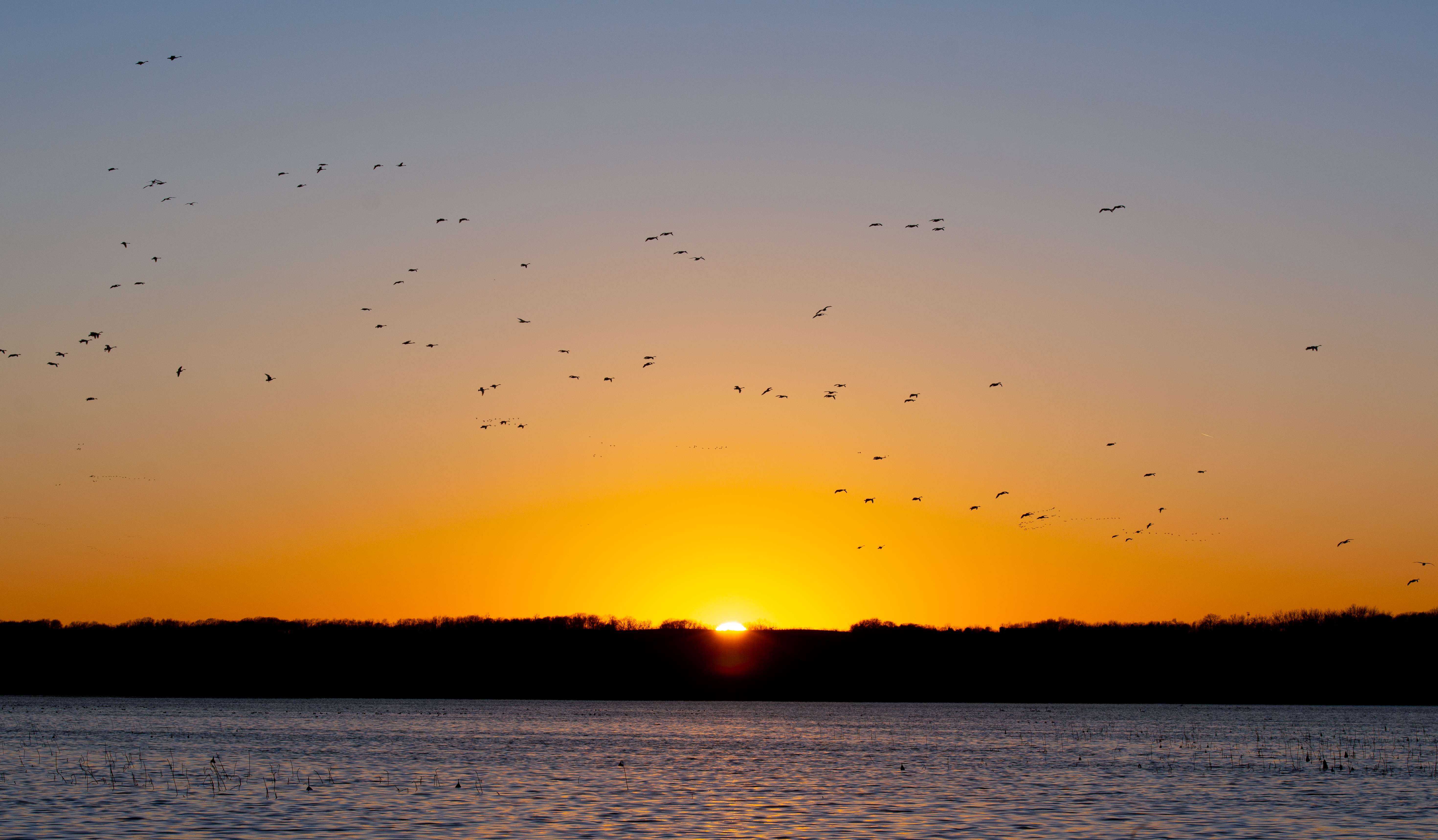 Spring Lake Colony Spring Lake Campground | Enjoy Illinois