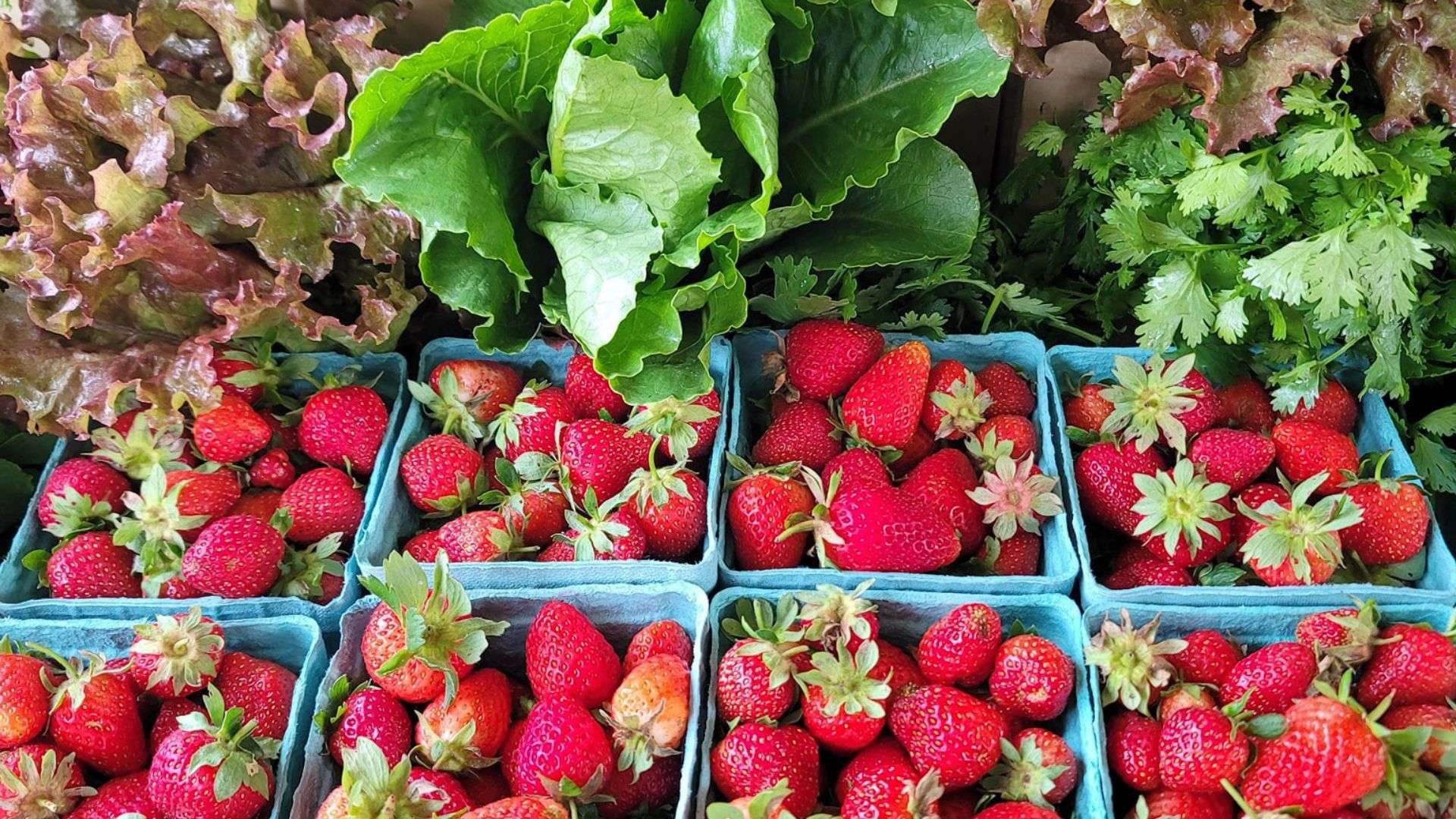 Effingham Farmers Market - Enjoy Illinois