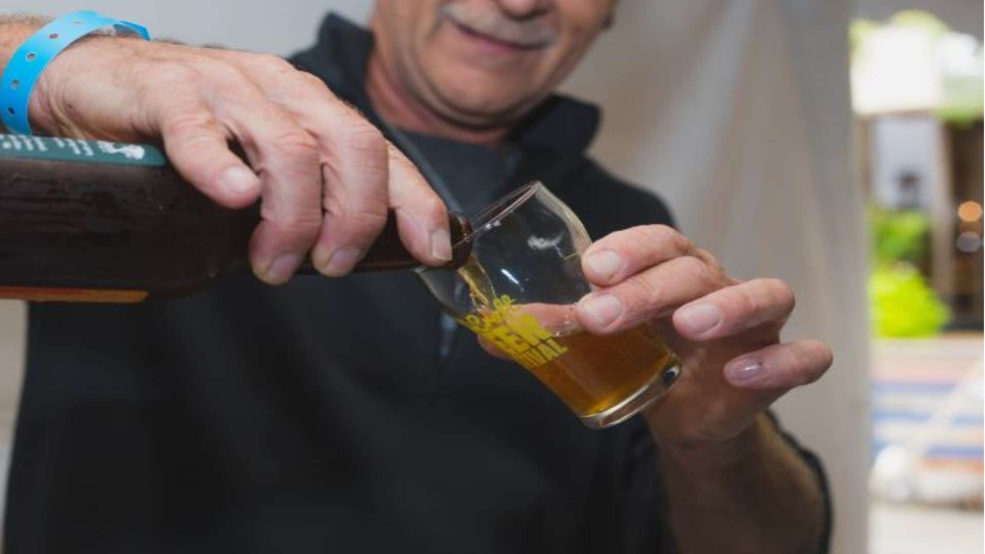 Decatur Craft Beer Festival 2025 in Central Park | Enjoy Illinois