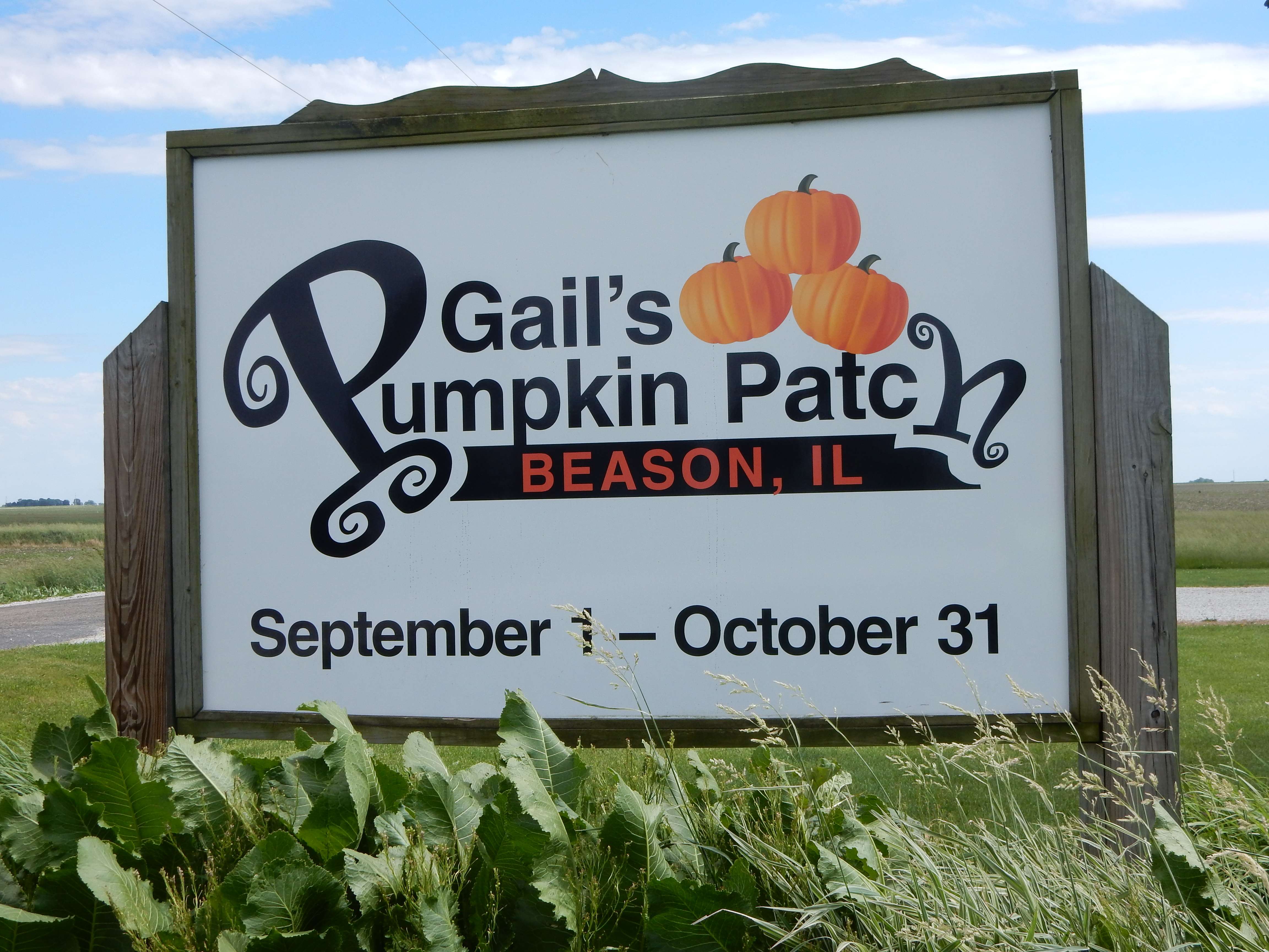 Gail's Pumpkin Patch | Enjoy Illinois