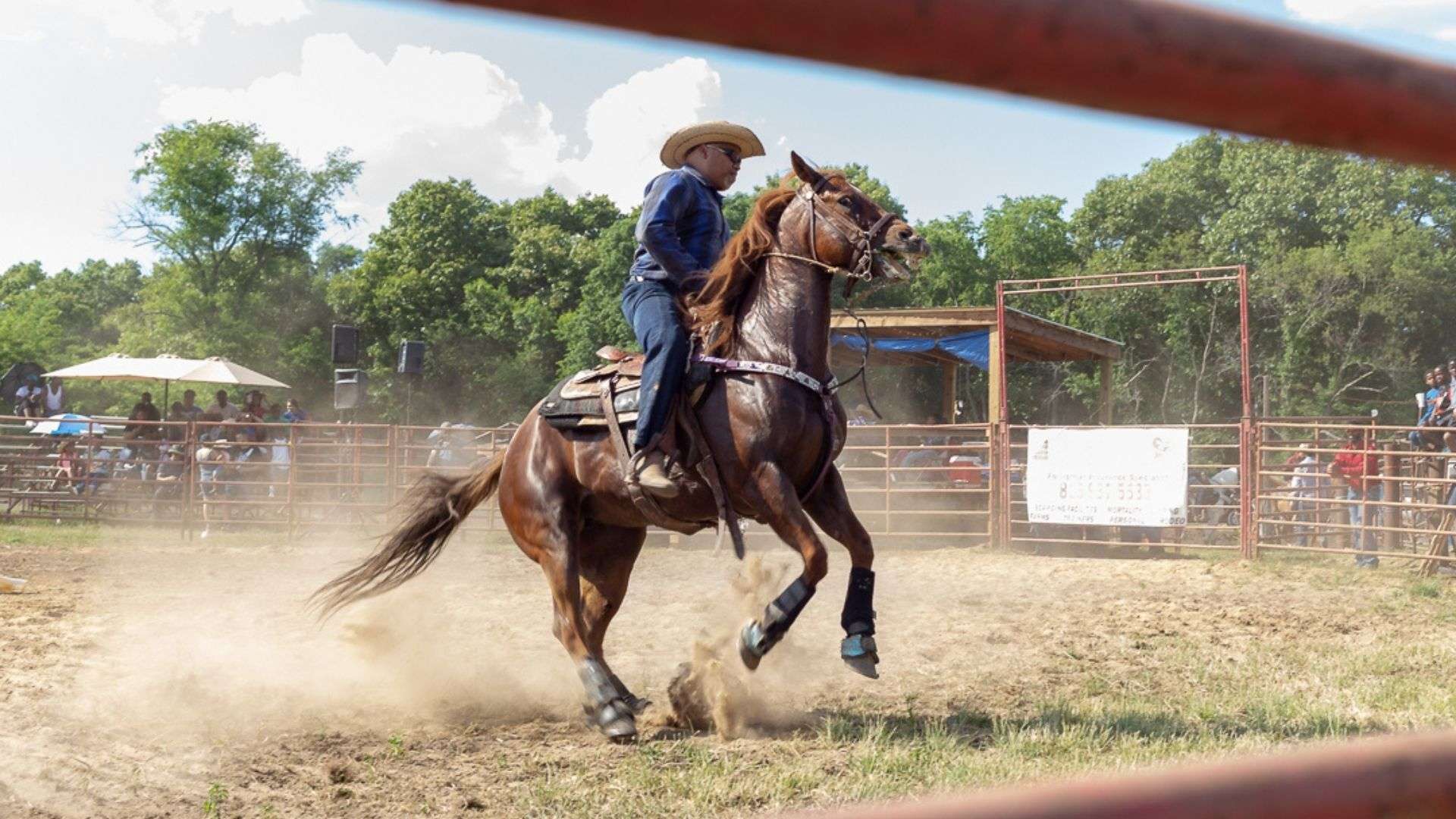 Pembroke Rodeo 50th Anniversary | Enjoy Illinois